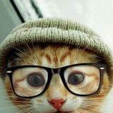 Hipster Cat
