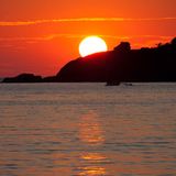 Beach Tomato | Purasonica Sunrise Playlist