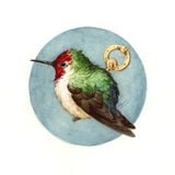 Birds with chords