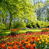 Spring Mix 2013