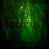 THE SECRETS OF THE JUNGLE - BBOYING MIXTAPE - 2014
