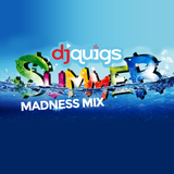 DJ Quigs Summer Madness Mix