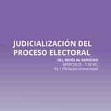 14 ENE 2015 - Judicialización del proceso electoral