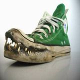 Das Krokodil ist wieder da