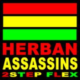 2STEP FLEX