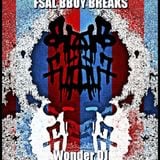 Wonder Dj - FSAL BBOY BREAKS (2013)
