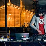 wonkers choice minimix