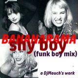Shy Boy (Funk Boy Mix) BANANARAMA