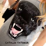 Catalin Tatomir - THE PULSE 2015 06