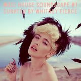 MDCI House Soundscape