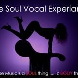Rico Novo - The Soul Vocal Experience -a retrospect of Soulful vocal House Music - the Classics