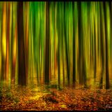 RoomB - Forest Psy Chill Mix. Vol 5