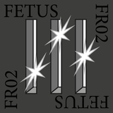 FR02 – Fetus