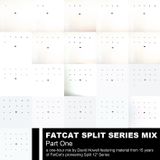 Split Series Mix 1 - FatCat Records Podcast