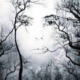 illusions (vol III)