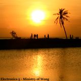 Electronica 5