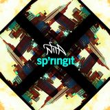 Dj Nita - Sp'ringit