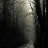Dark Wave # 6
