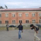 Zaccarelli Republic