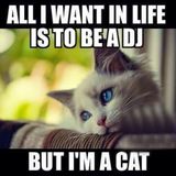 Litterbox Mixtape Season 2 Episode 1: Interstellar