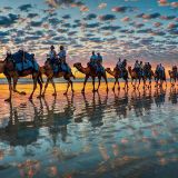 The Return of the Caravan (JazzFusion)
