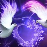 For You Babe