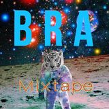 ☲ BRA ☲