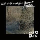 Perfect Human – Will-o'-the-wisp podcast