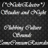 (Bodenstänndig Mix) NickiElectro Set 14.02.2012