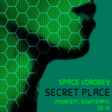 Space Vorobey - Secret Place