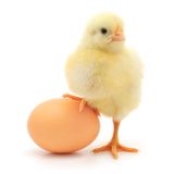 #2 : Tortilla
