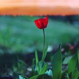 Spring 2011 Mix