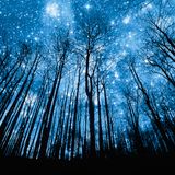 Sound of Speed Vol. 4 (1994 - 1996 Drum & Bass mix)