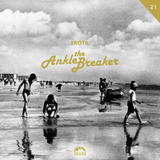 AnkleBreaker 21.07.2015 - RadioControl