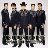 Los Tigres Del Norte Sus Mejores Corridos