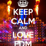 >>FKN EDM MIX vol.1<<