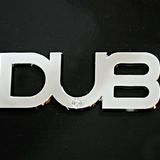 Reggae Revolution 1-11-11