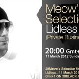 Lidless Sound guestmix to 28Meow's Selection 11.03.2012.