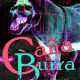 CAÑA BURRA SESION INSOMNI@INSOMNIS (05-04-12) JOSEP VIDAL