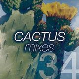 Timeleft - PODCAST # 34 - Cactus Mixes