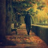 An autumn evening