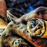 bobbys patron & cigar mix