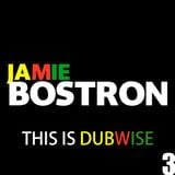 Jamie Bostron - This is Dubwise 3