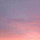 Fraggle Syndicate - Strawberry Solistice