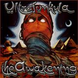 The Awakening (Spring 2013)