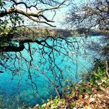Sound Awakener - Spring 2015