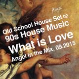 Old School House Set 02, 90s House. "What is Love", Angel in the Mix, 09.2015