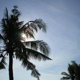 Ay Caramba @ One Palm Point