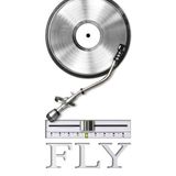 2Fly - Party Mix - Hiphop and R&B Classics - mixed by xxxflyerxxx