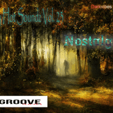 Crazy Hot Soundz Vol. 23 "Nostalgia"